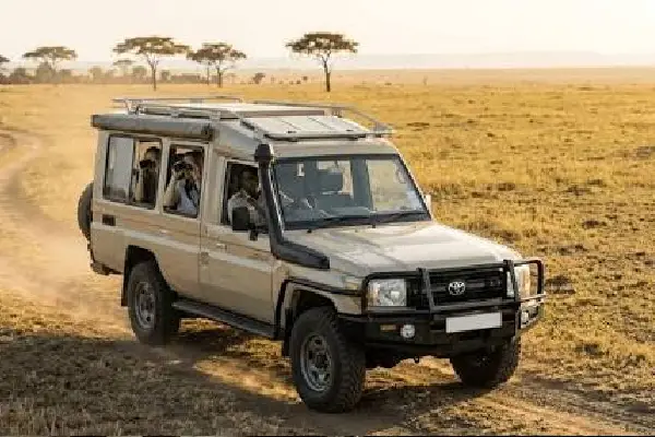 Safari vehicle in the wild